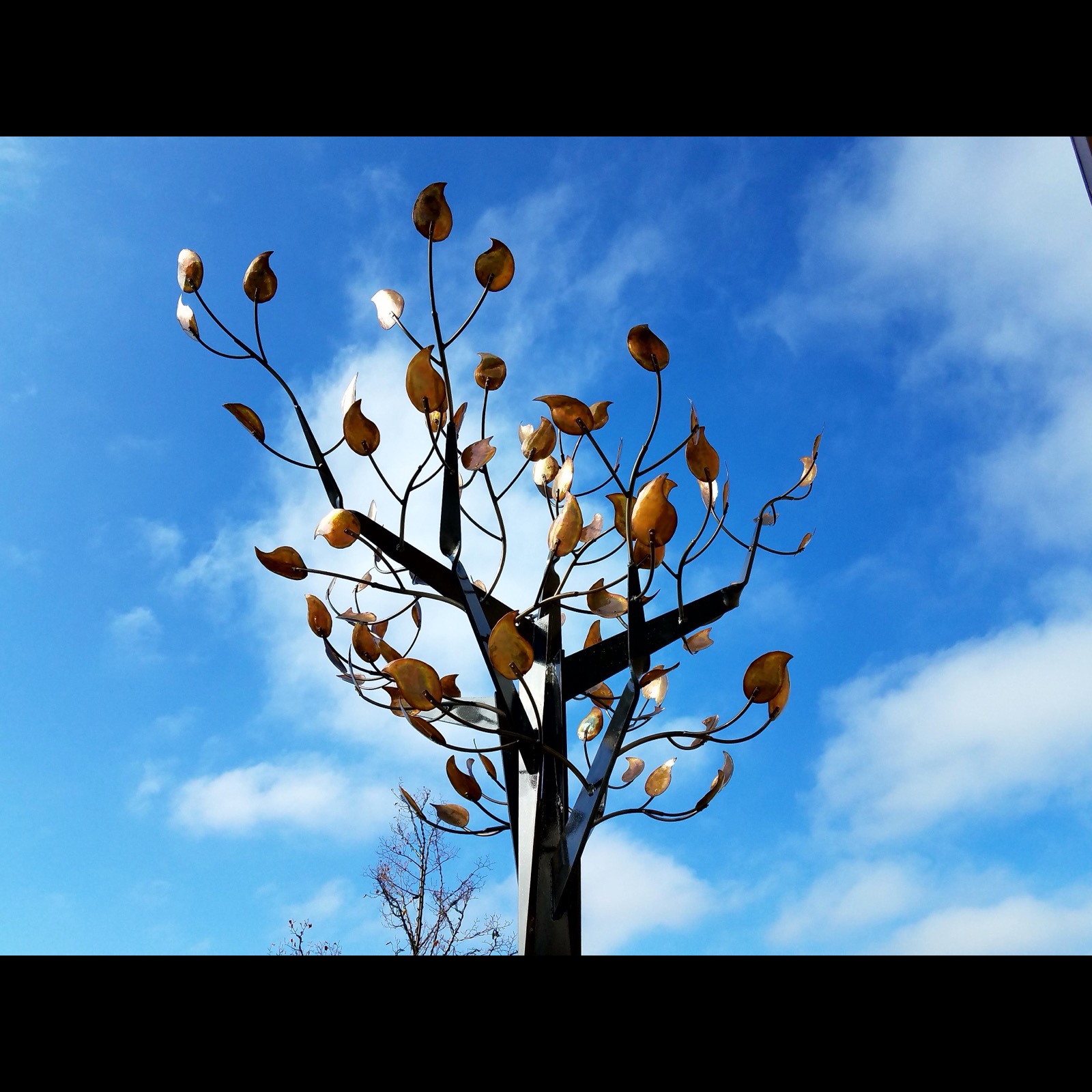 A dark steel tree whose branches hold dozens of copper-toned leaves.